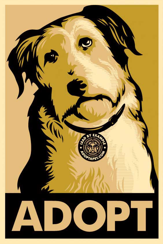 adopt a pet program